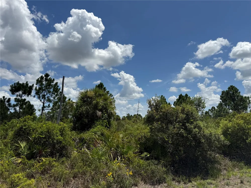 356 LAKEWOOD LANE Port Charlotte, FL 33953