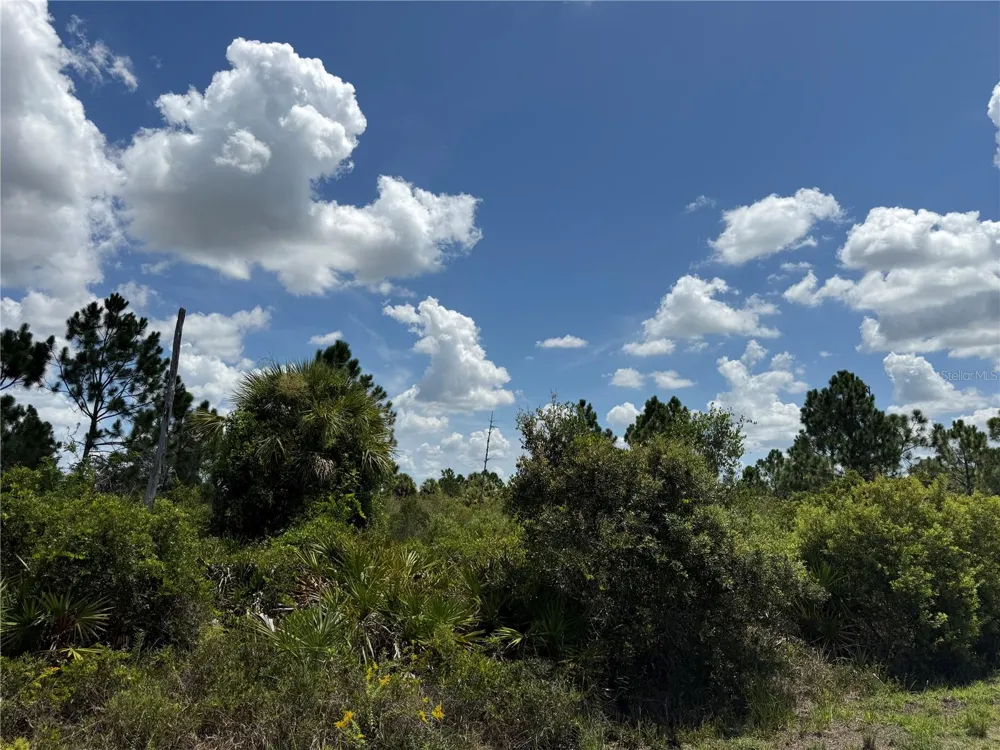 356 LAKEWOOD LANE Port Charlotte, FL 33953