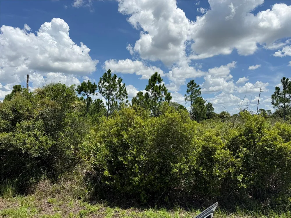 356 LAKEWOOD LANE Port Charlotte, FL 33953