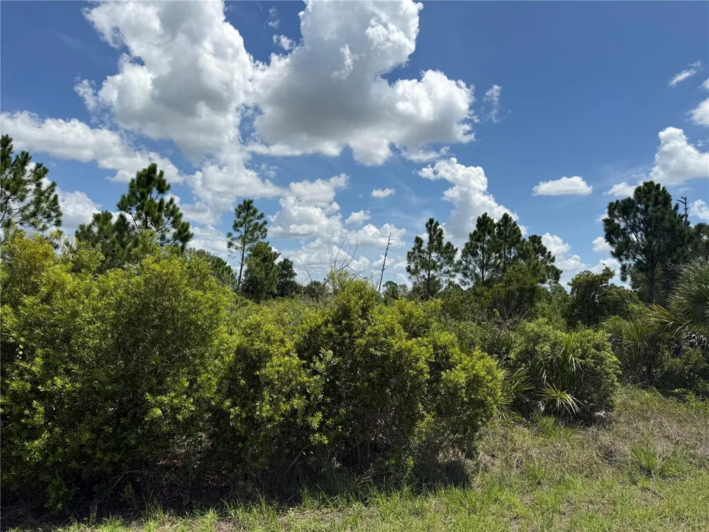 356 LAKEWOOD LANE Port Charlotte, FL 33953