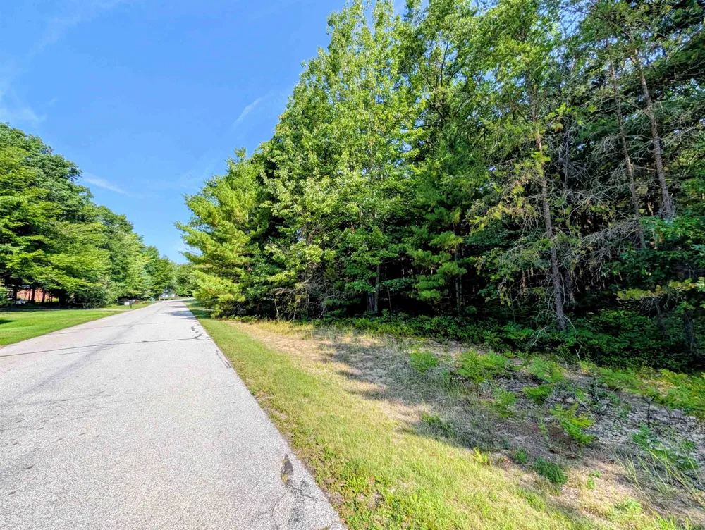 Huron Breeze Drive Sims Township, MI 48703