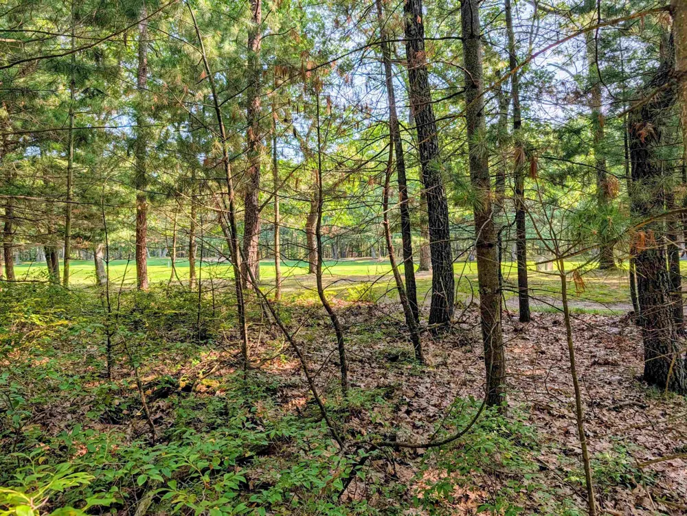 Huron Breeze Drive Sims Township, MI 48703