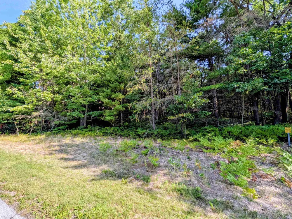 Huron Breeze Drive Sims Township, MI 48703