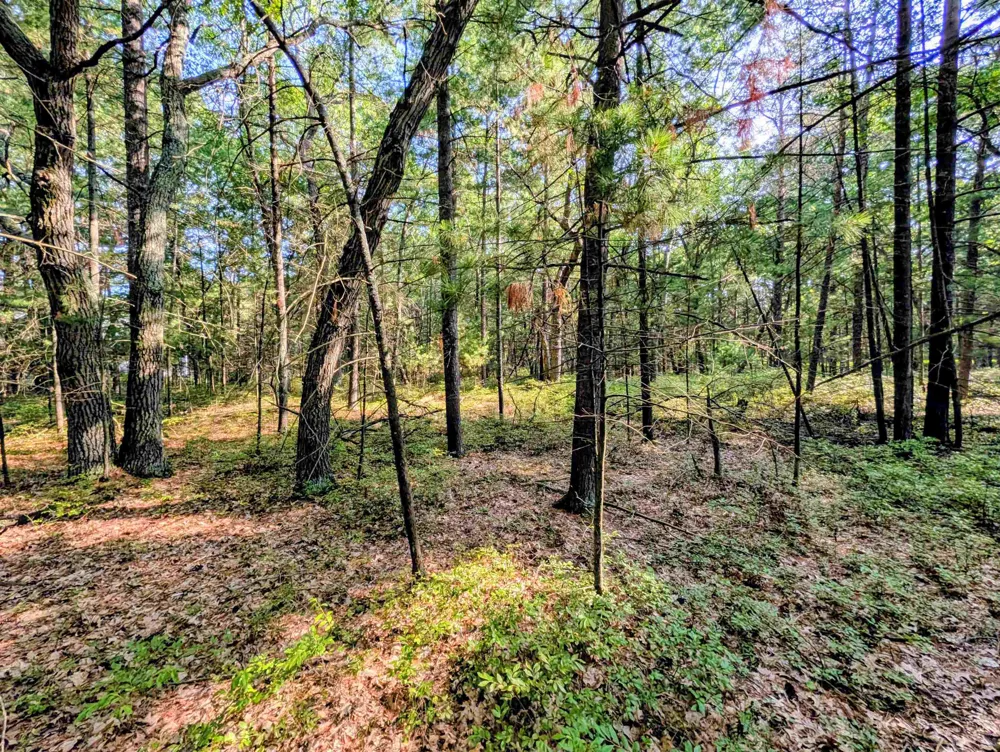 Huron Breeze Drive Sims Township, MI 48703