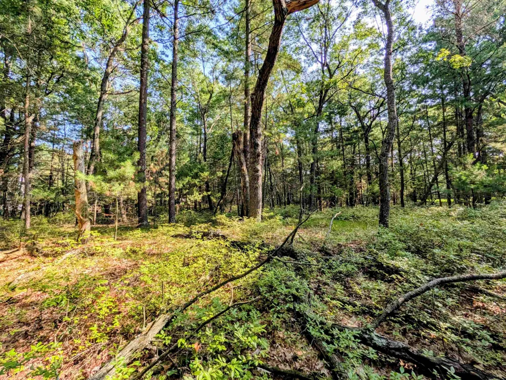 Huron Breeze Drive Sims Township, MI 48703