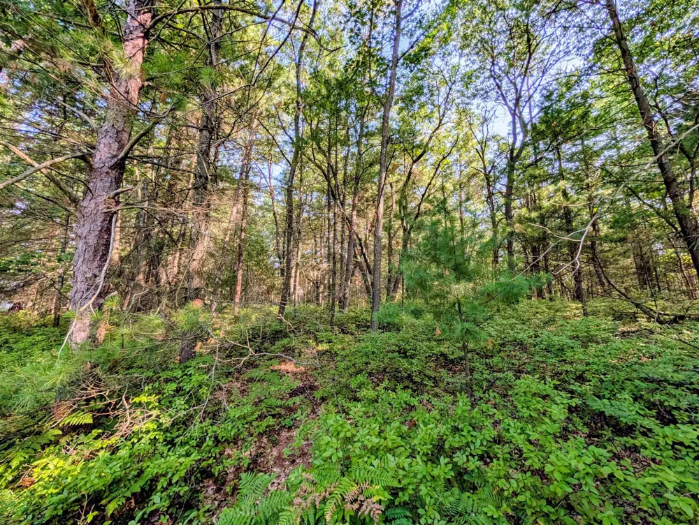 Huron Breeze Drive Sims Township, MI 48703