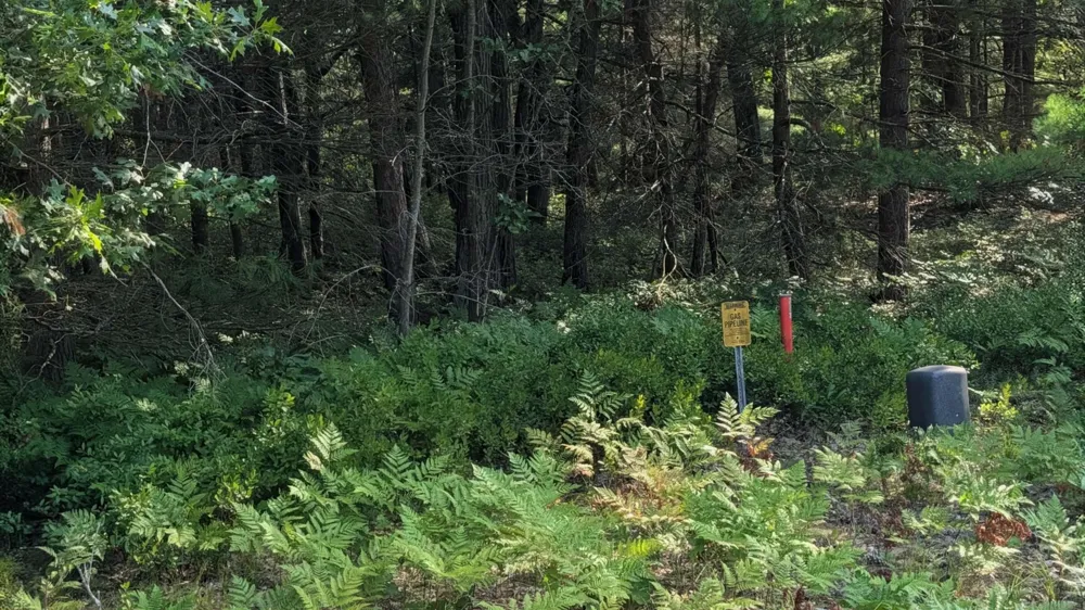 Huron Breeze Drive Sims Township, MI 48703