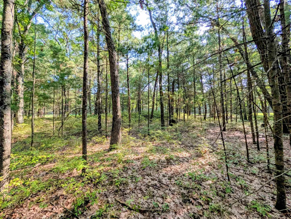 Huron Breeze Drive Sims Township, MI 48703