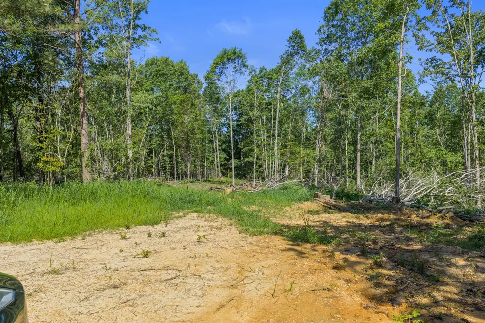0 Green Hatley Branch Rd Holladay, TN 38341