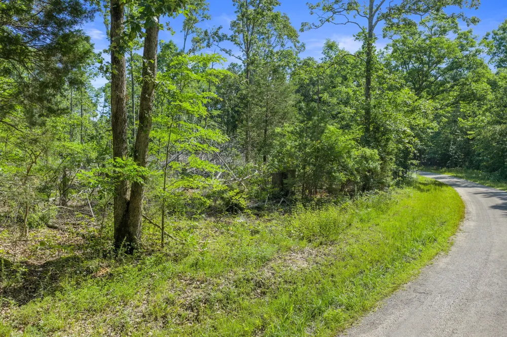 0 Green Hatley Branch Rd Holladay, TN 38341