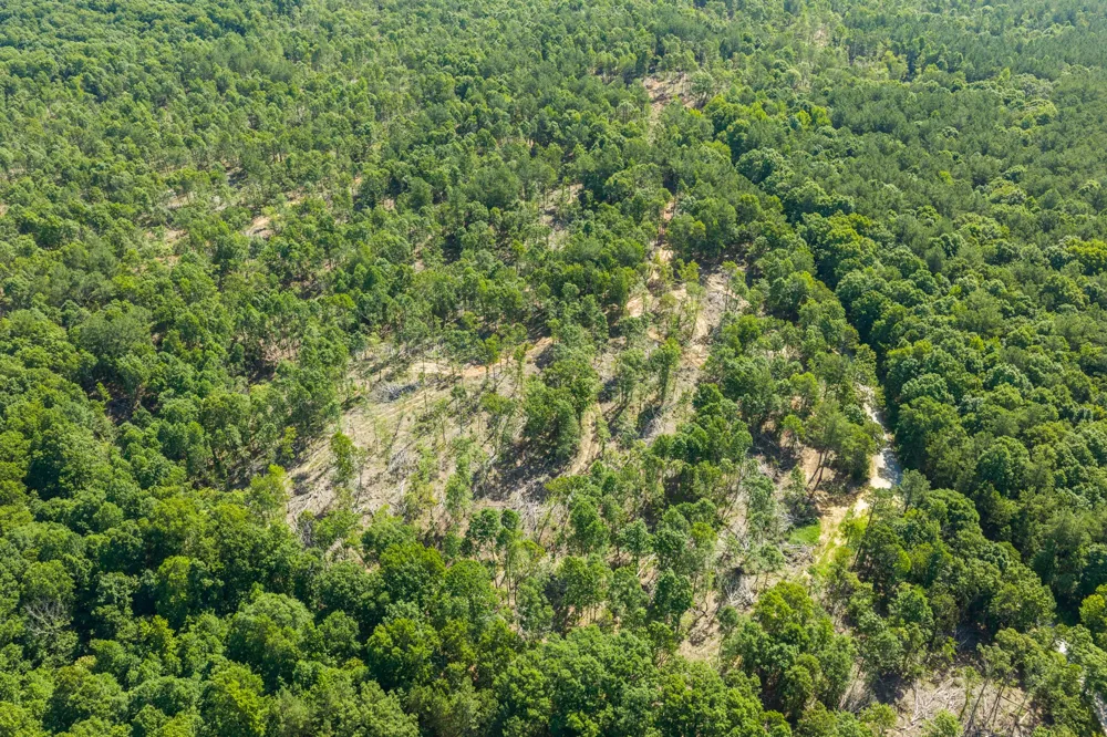 0 Green Hatley Branch Rd Holladay, TN 38341