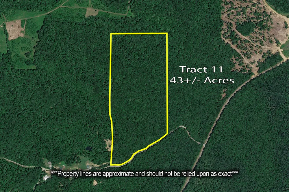 0 Green Hatley Branch Rd Holladay, TN 38341