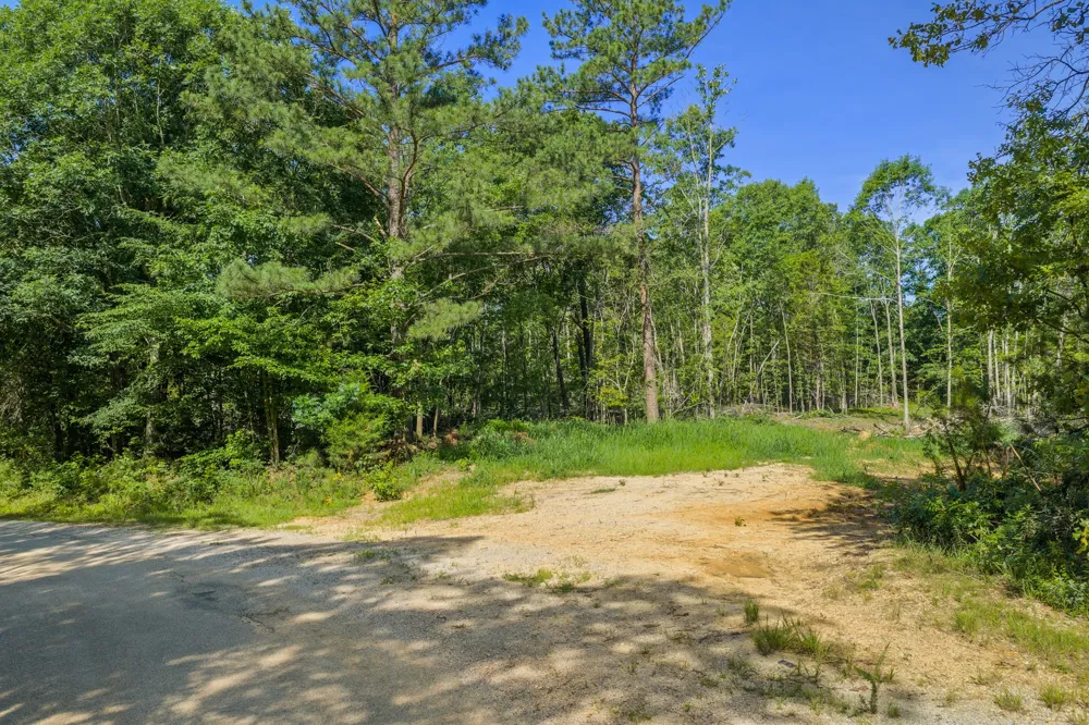 0 Green Hatley Branch Rd Holladay, TN 38341