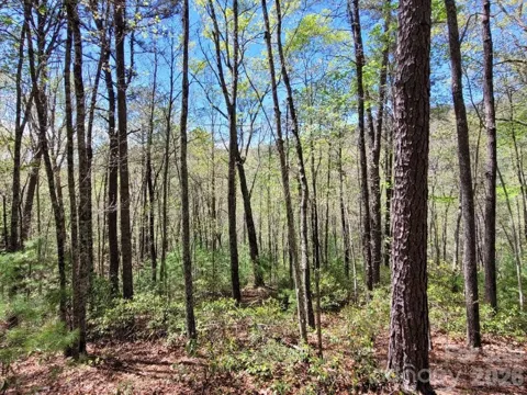 Lot 21 Little Fox Run