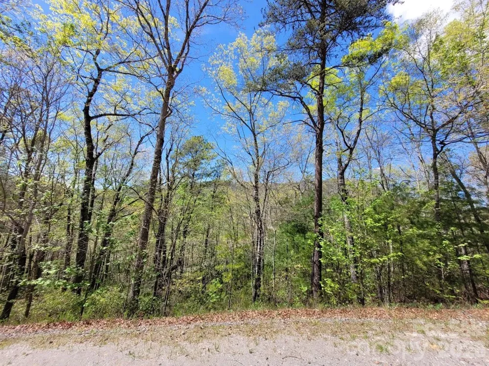 Lot 21 Little Fox Run Marion, NC 28752
