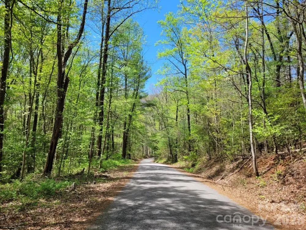 Lot 21 Little Fox Run Marion, NC 28752