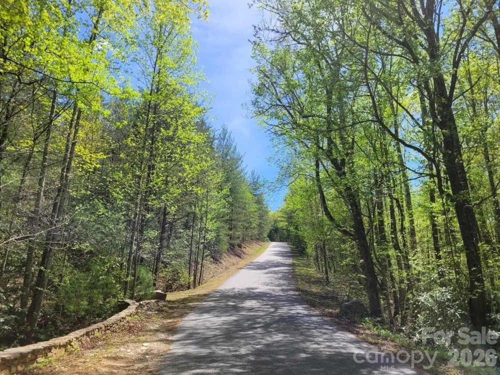 Lot 21 Little Fox Run Marion, NC 28752