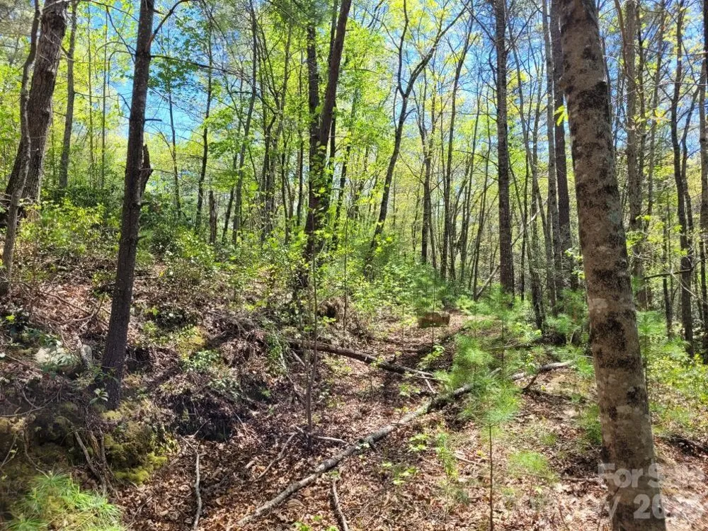 Lot 21 Little Fox Run Marion, NC 28752