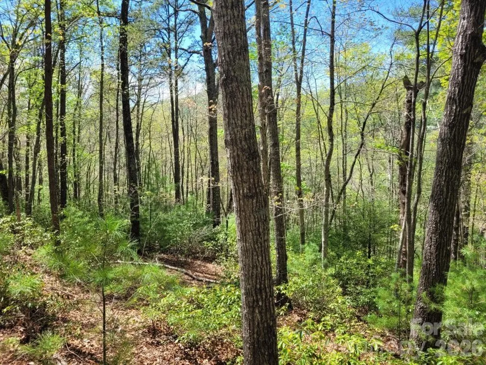 Lot 21 Little Fox Run Marion, NC 28752