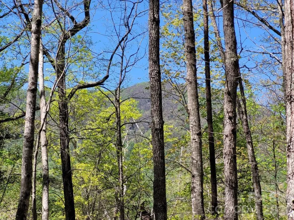 Lot 21 Little Fox Run Marion, NC 28752