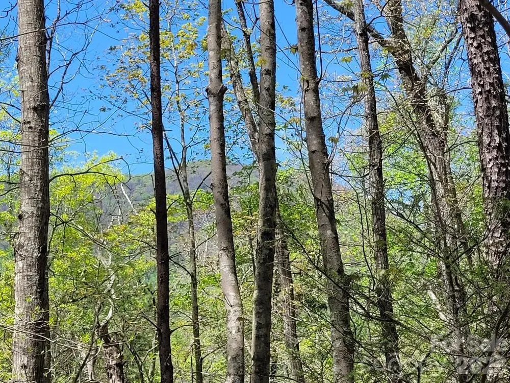 Lot 21 Little Fox Run Marion, NC 28752