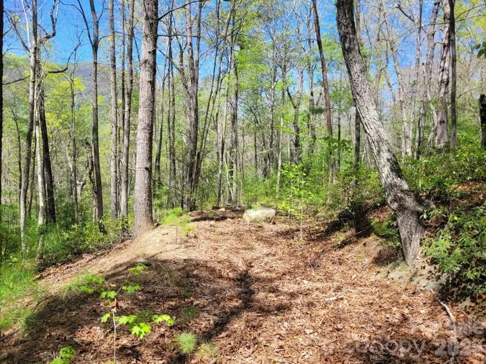 Lot 21 Little Fox Run Marion, NC 28752