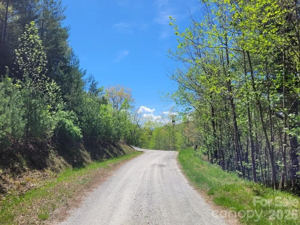 Lot 21 Little Fox Run Marion, NC 28752