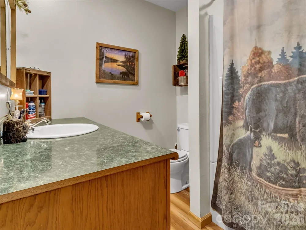555 Acres View Drive Waynesville, NC 28786