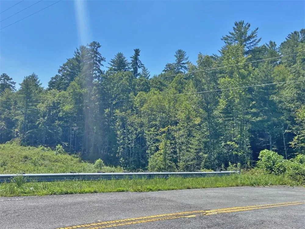 17AC Hwy 515 Ellijay, GA 30540