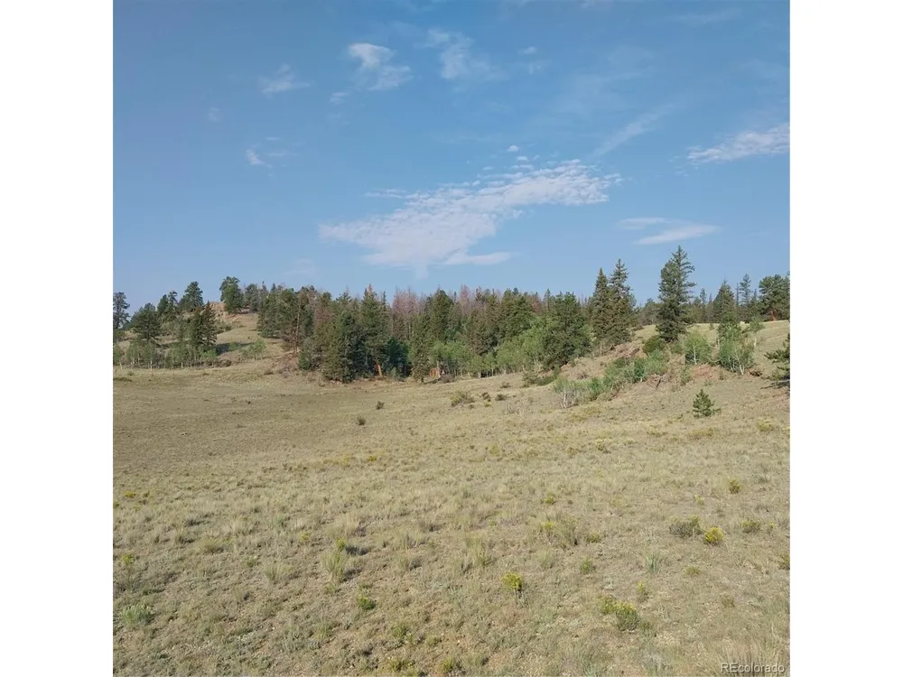 1167 Latigo Loop Hartsel, CO 80449
