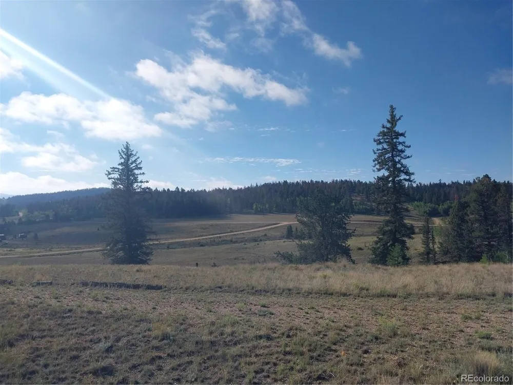 1167 Latigo Loop Hartsel, CO 80449