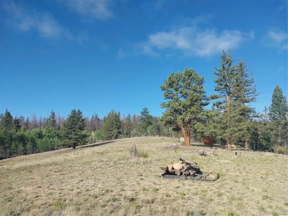 1167 Latigo Loop Hartsel, CO 80449