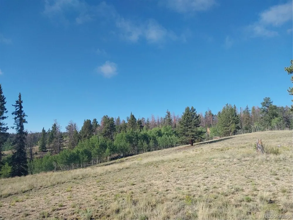 1167 Latigo Loop Hartsel, CO 80449