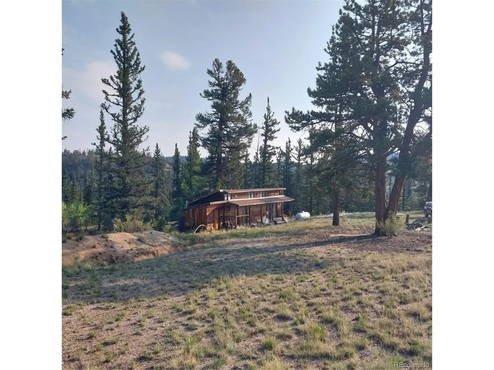 1167 Latigo Loop Hartsel, CO 80449