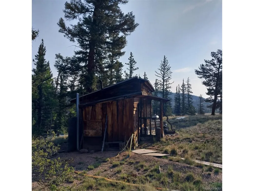 1167 Latigo Loop Hartsel, CO 80449