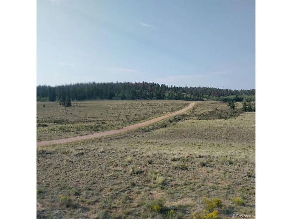 1167 Latigo Loop Hartsel, CO 80449