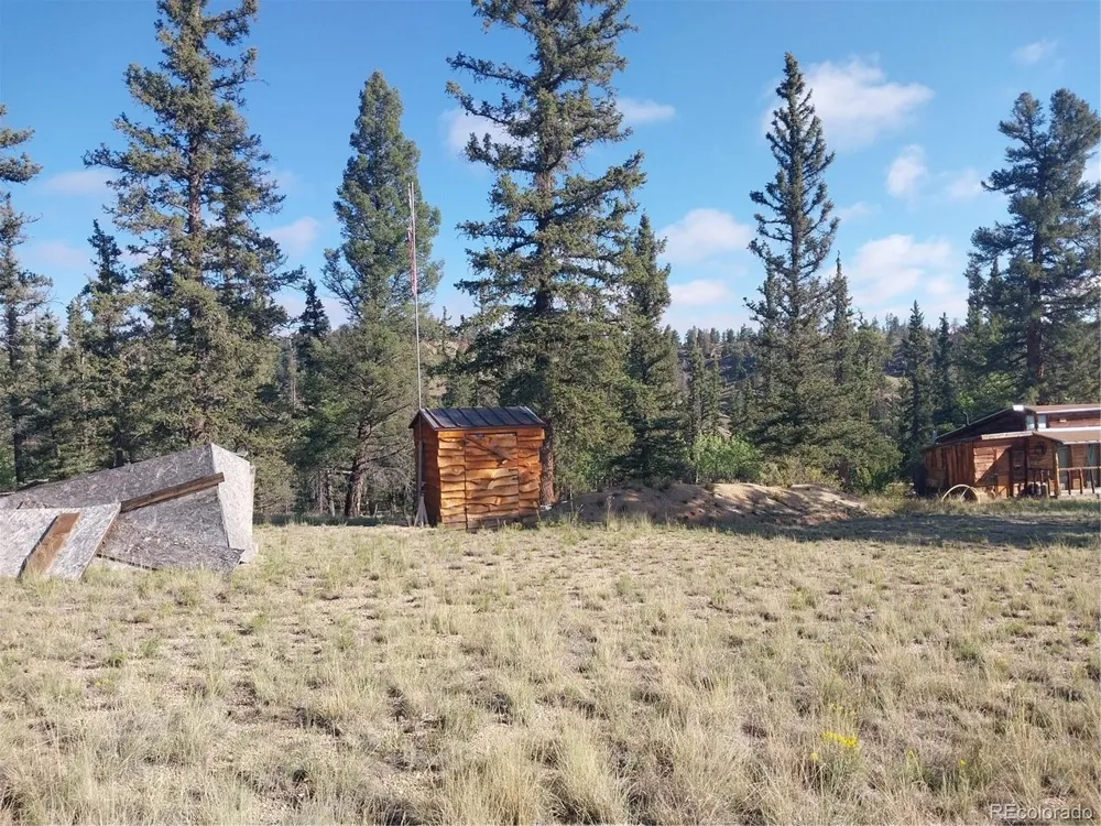 1167 Latigo Loop Hartsel, CO 80449