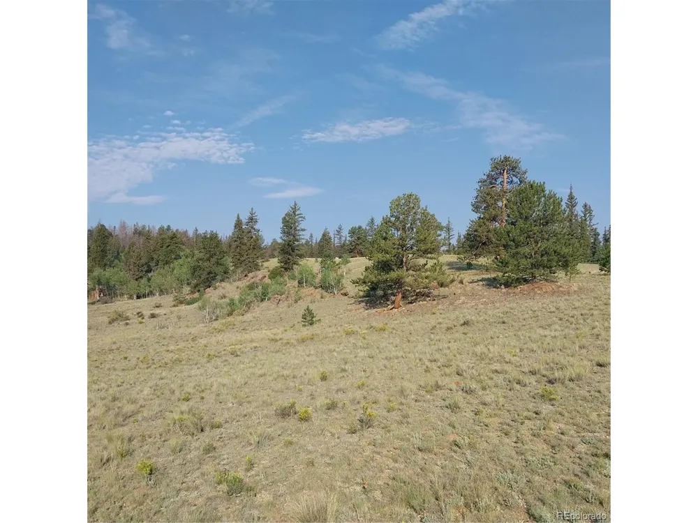 1167 Latigo Loop Hartsel, CO 80449