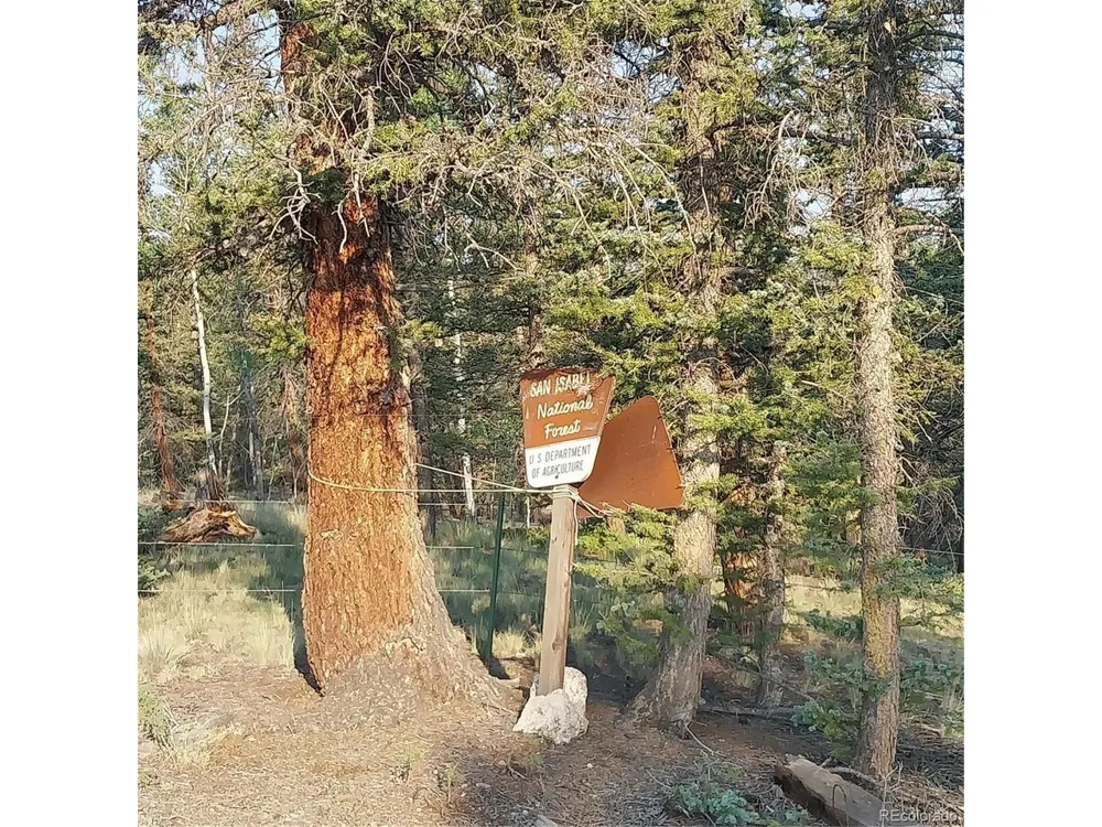 1167 Latigo Loop Hartsel, CO 80449