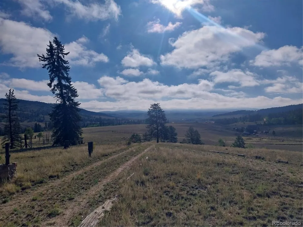1167 Latigo Loop Hartsel, CO 80449