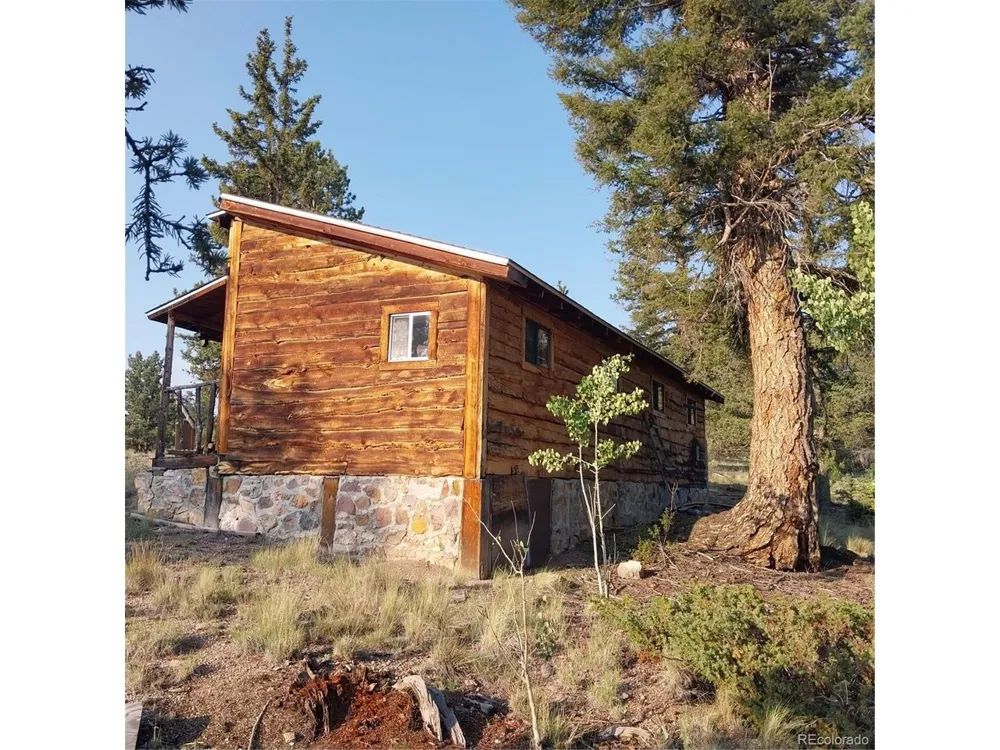1167 Latigo Loop Hartsel, CO 80449