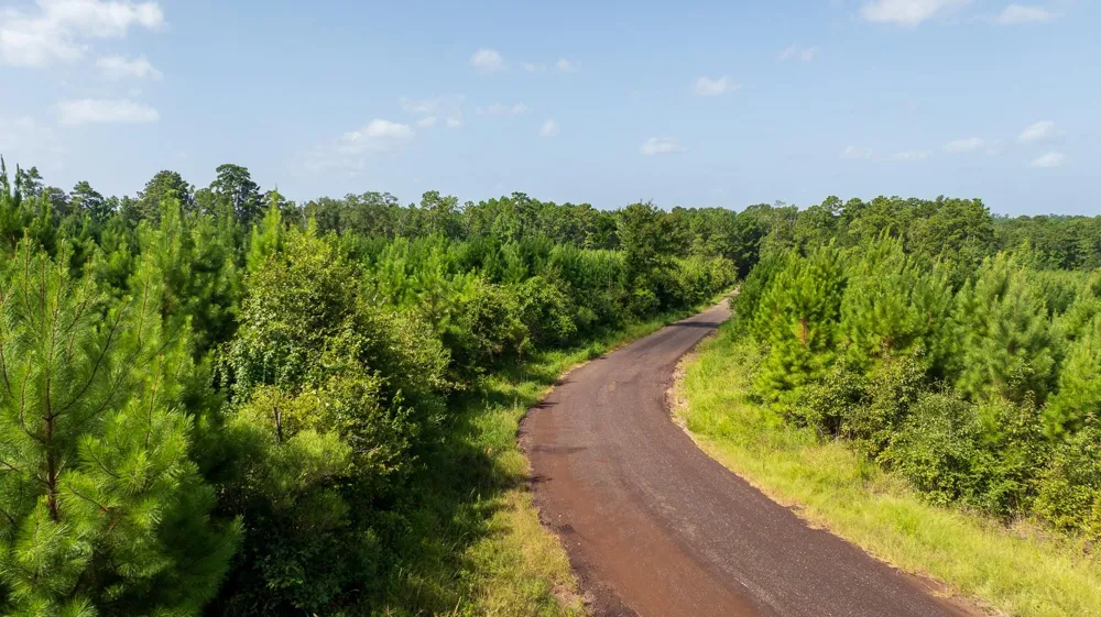 1 Sandy Creed Rd Zavalla, TX 75980