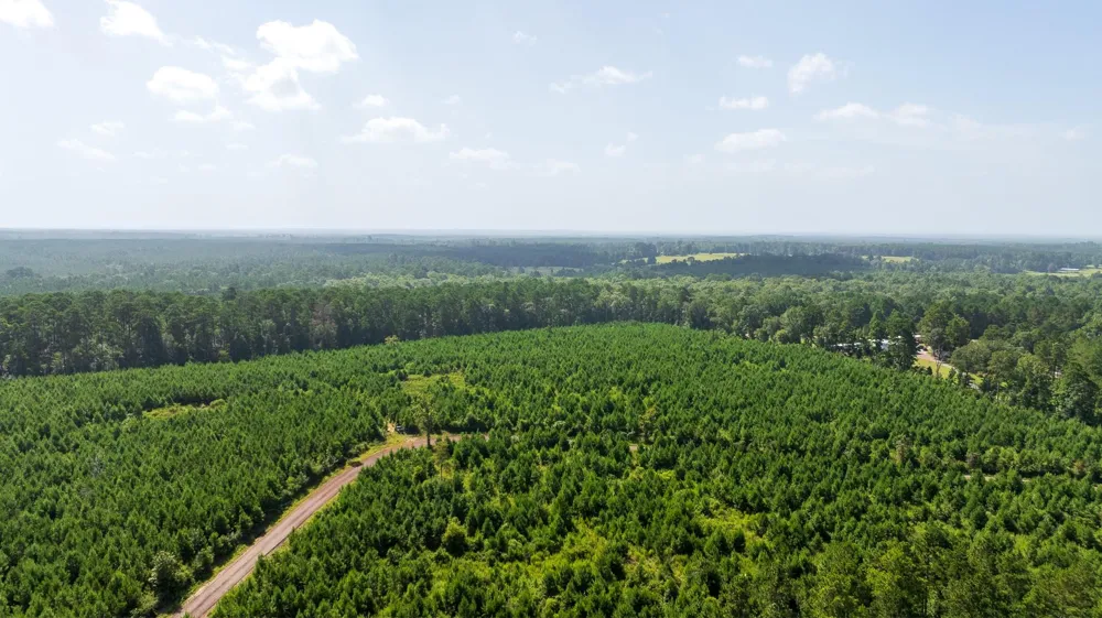 1 Sandy Creed Rd Zavalla, TX 75980