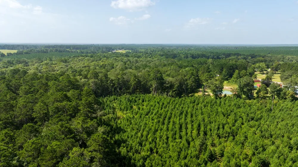 1 Sandy Creed Rd Zavalla, TX 75980