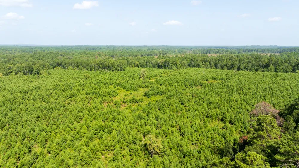 1 Sandy Creed Rd Zavalla, TX 75980