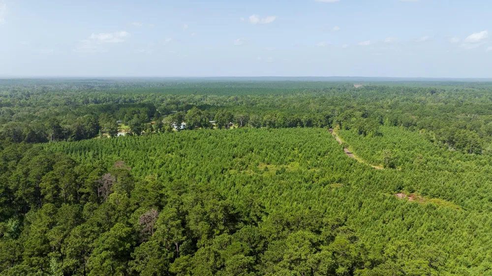 1 Sandy Creed Rd Zavalla, TX 75980