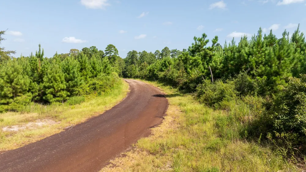 1 Sandy Creed Rd Zavalla, TX 75980
