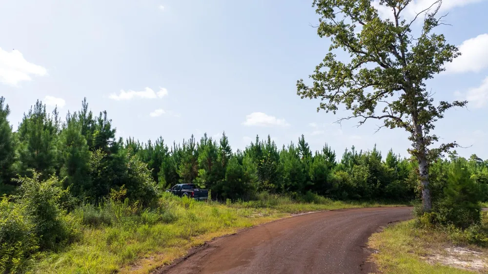 1 Sandy Creed Rd Zavalla, TX 75980