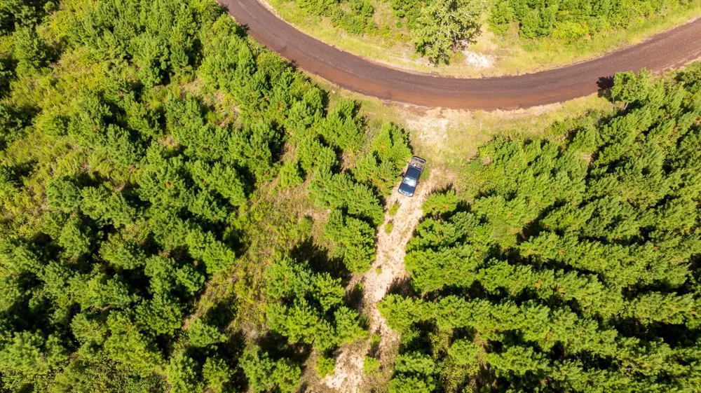 1 Sandy Creed Rd Zavalla, TX 75980