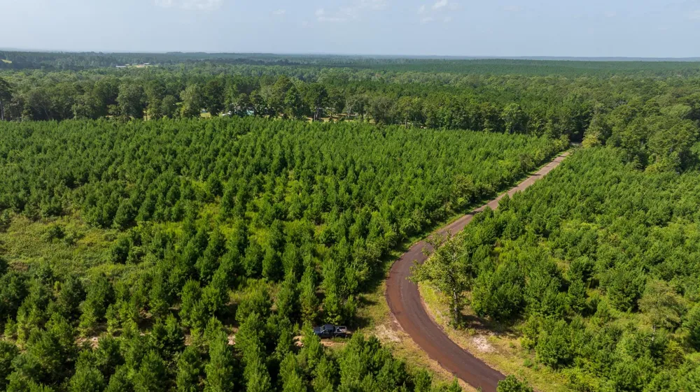 1 Sandy Creed Rd Zavalla, TX 75980